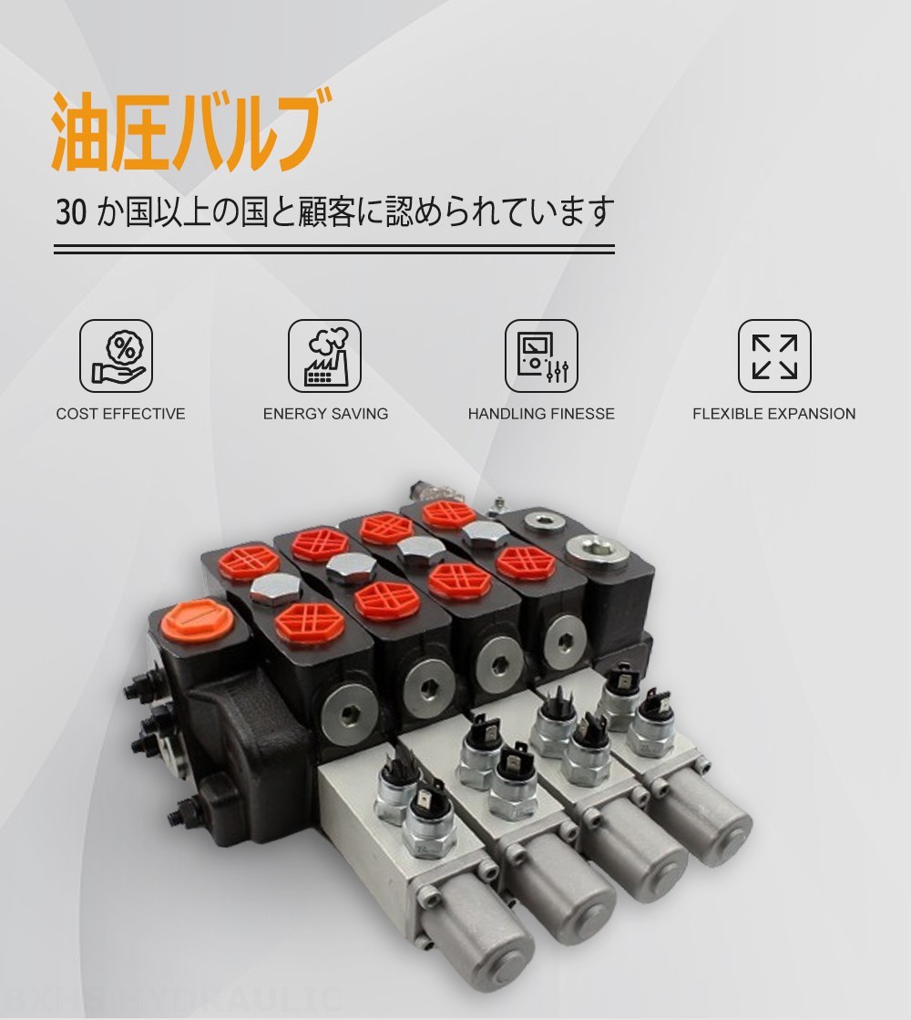 DLS180 Micro Switch 手動 4スプール セクショナル方向弁